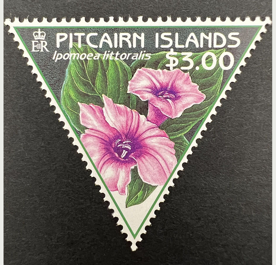 A triangular stamp depicting two pink hibiscus flowers blooming among green foliage