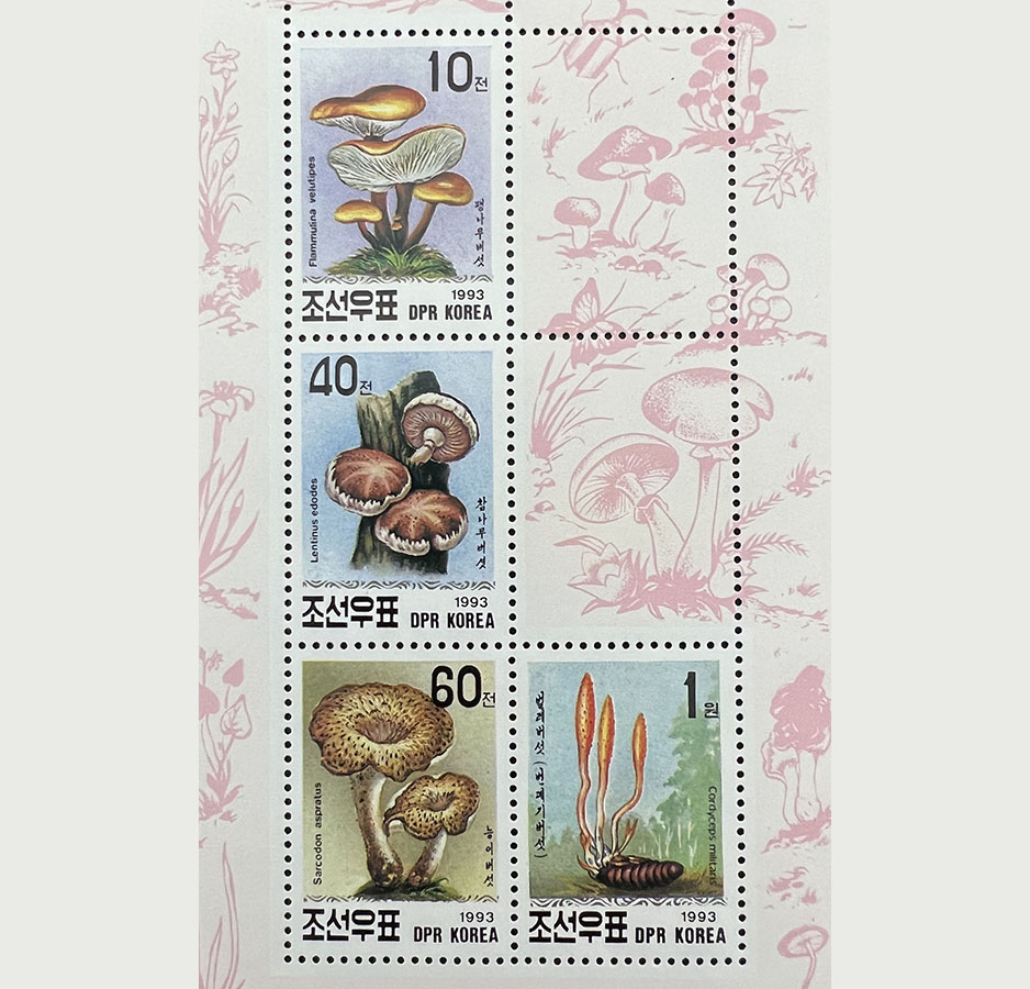 A selection of mushroom-themed stamps