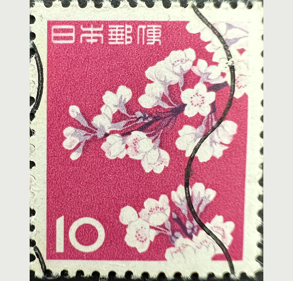 A pink and white stamp depicting cherry blossoms in bloom