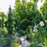 A green outdoor garden full of topiaries and vined pillars
