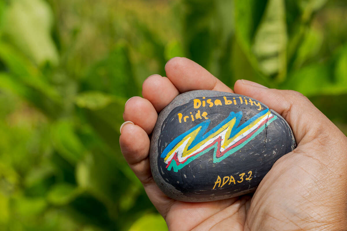 A painted gray rock with 