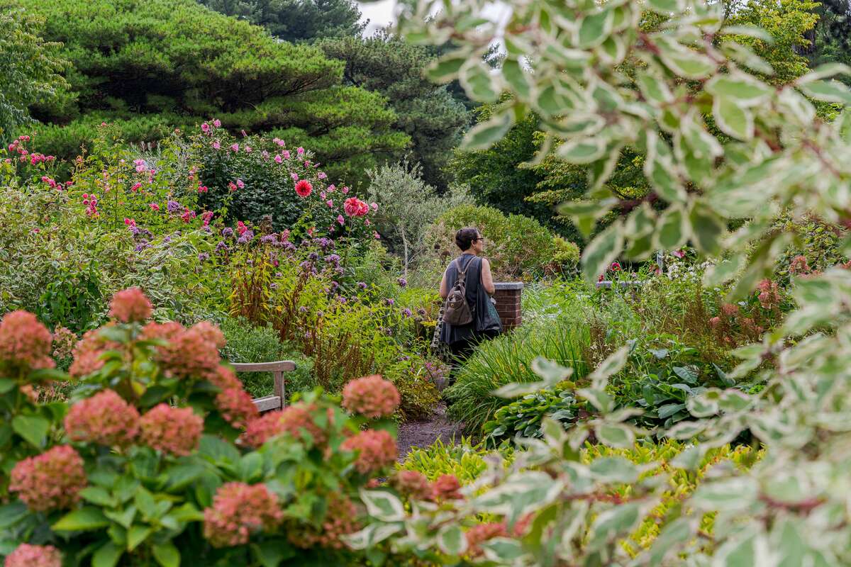 A person in a sleeveless shirt explores a lush green garden space