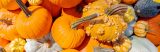 Bright orange pumpkins, both smooth and bumpy, and green gourds piled on top of each other.