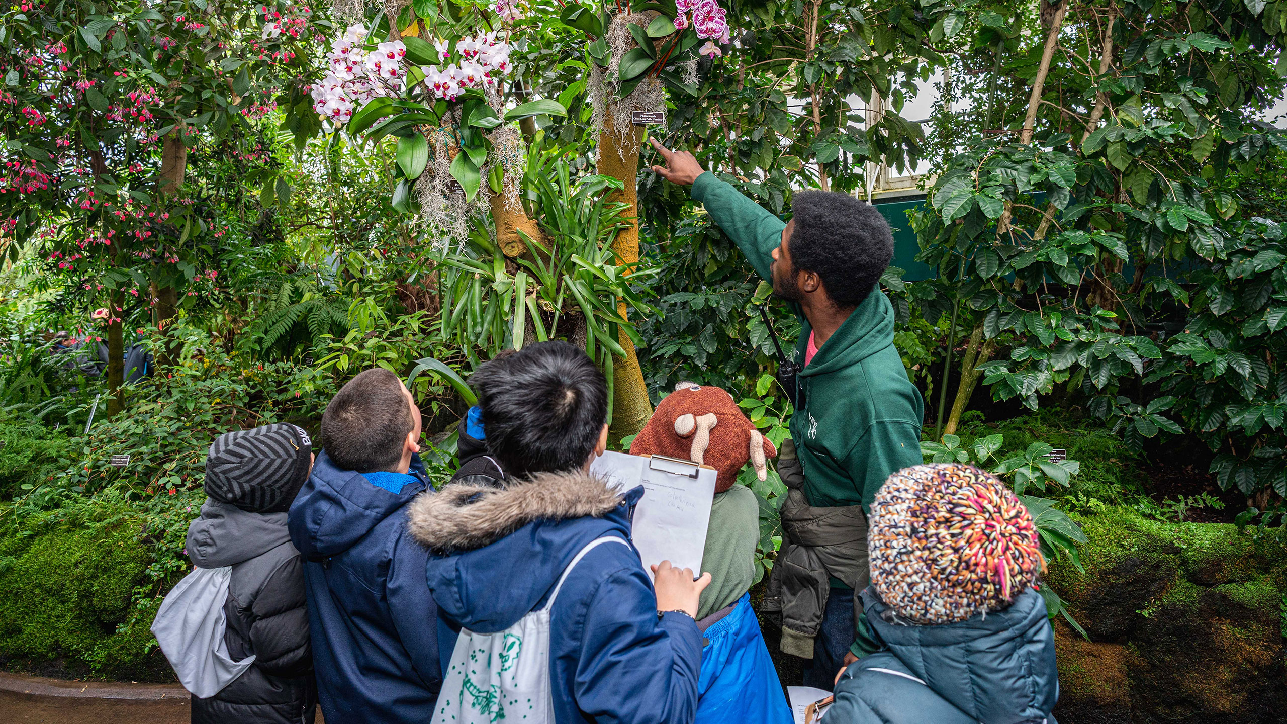 Students watch a teacher point out orchids in the Conservatory, and make observations on paper.