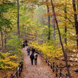 people walking on a trail through the Thain Family Forest