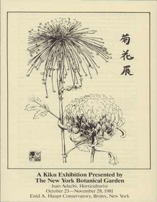 An illustration of chrysanthemum flowers in black ink. Below the image are words that give the details of the Kiku Exhibition in 1981.