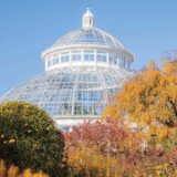 Conservatory dome in fall