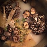 Various mushrooms of different sizes and textures in a broth.