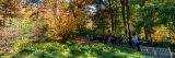 Children and a chaperone explore a bright fall forest in greens and yellows