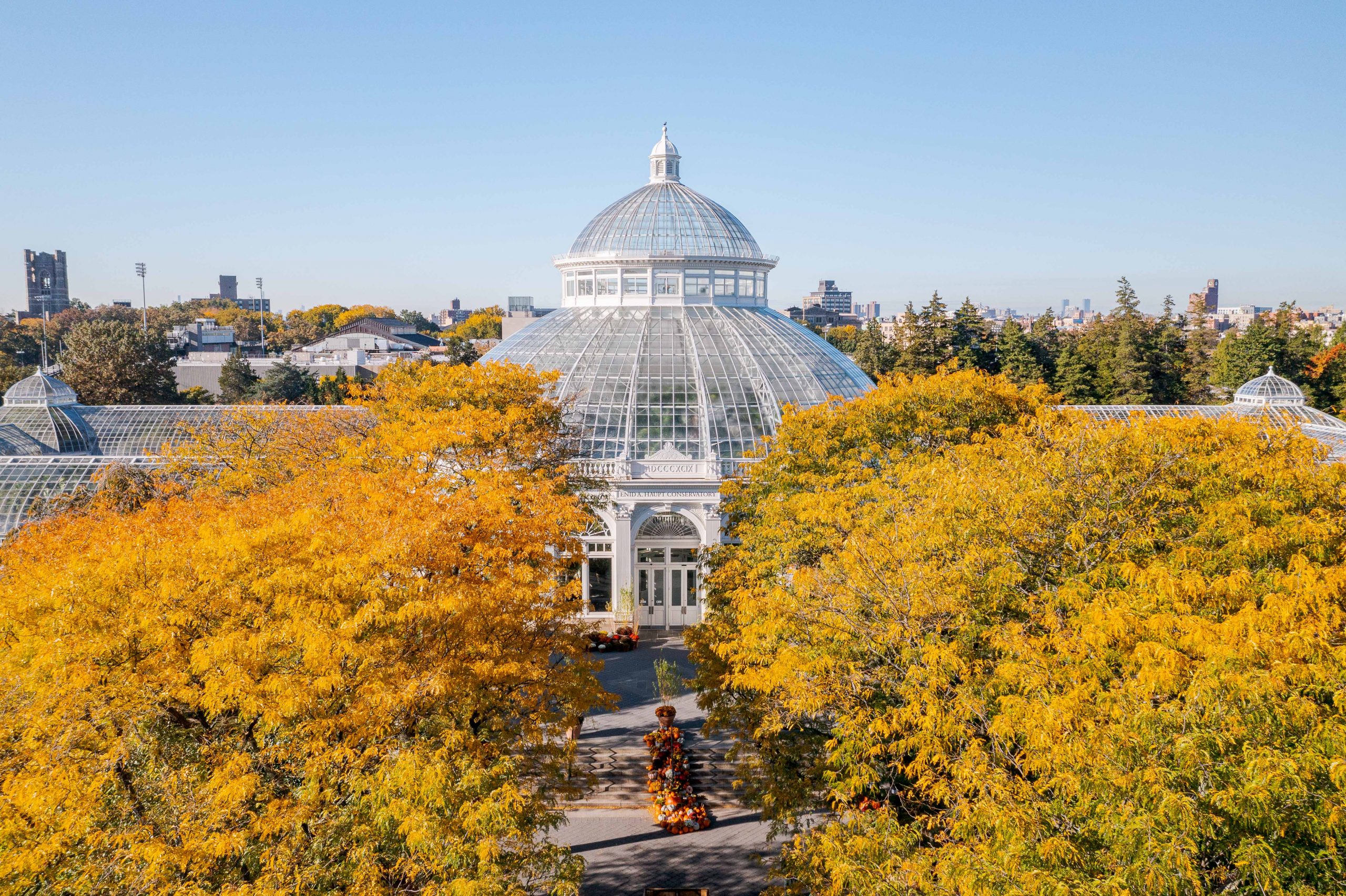 A sunny Conservatory dome surrounded by yellow tree foliage
