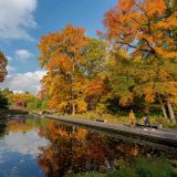 Two people walk under bright orange trees and a blue sky near a pond.