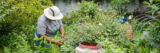 A person in gray shirt and white brimmed hat works in a green garden