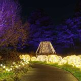 NYBG GLOW Glittering Gazebo