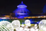 NYBG GLOW Pollen Puffs