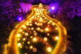 NYBG GLOW Aerial View of Glittering Gazebo