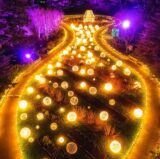 NYBG GLOW Aerial View of Glittering Gazebo