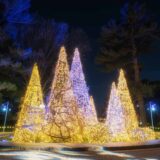 NYBG GLOW Twinkling Topiaries