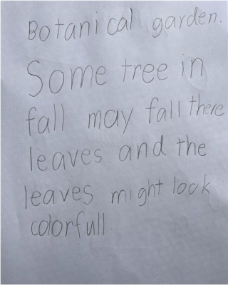 A child's handwritten poem that reads "Botanical garden. Some tree in fall may fall their leaves and the leaves might look colorful."