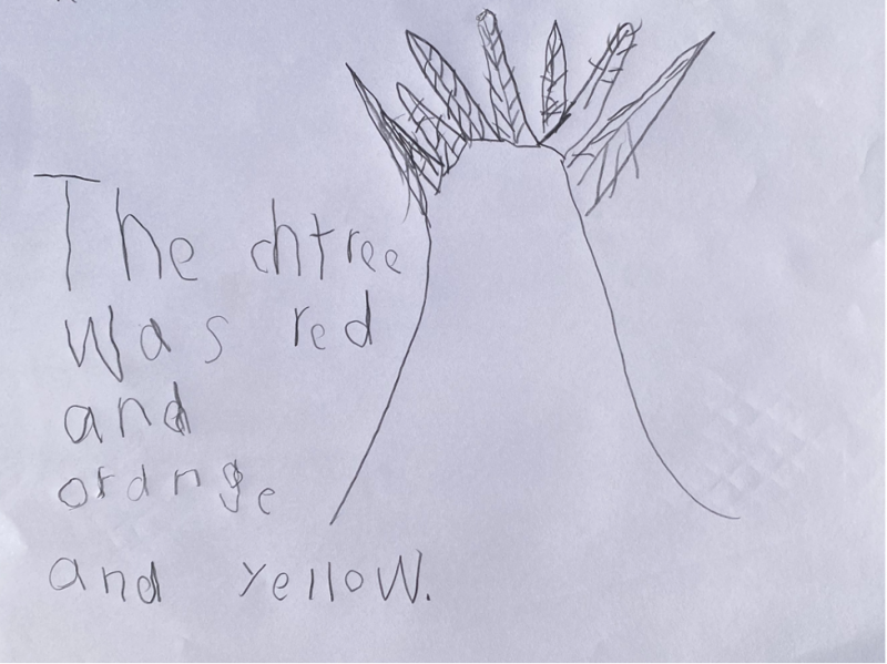 A child's handwritten poem, complete with a drawing of a tree, that reads, "The chtree was red and orange and yellow."