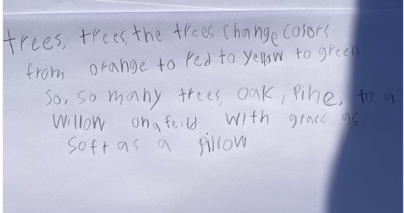 A child's handwritten poem that reads, "trees, trees, the trees change colors / from orange to red to yellow to green / so, so many trees, oak, pine, to a / willow on a field with grass as soft as a pillow"