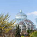 green and yellow trees in front of the Conservatory with two people on a path