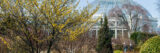 green and yellow trees in front of the Conservatory with two people on a path