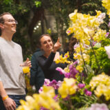 a man in a grey sweater holding a drink and a woman in a black long-sleeved top admiring yellow and purple orchids