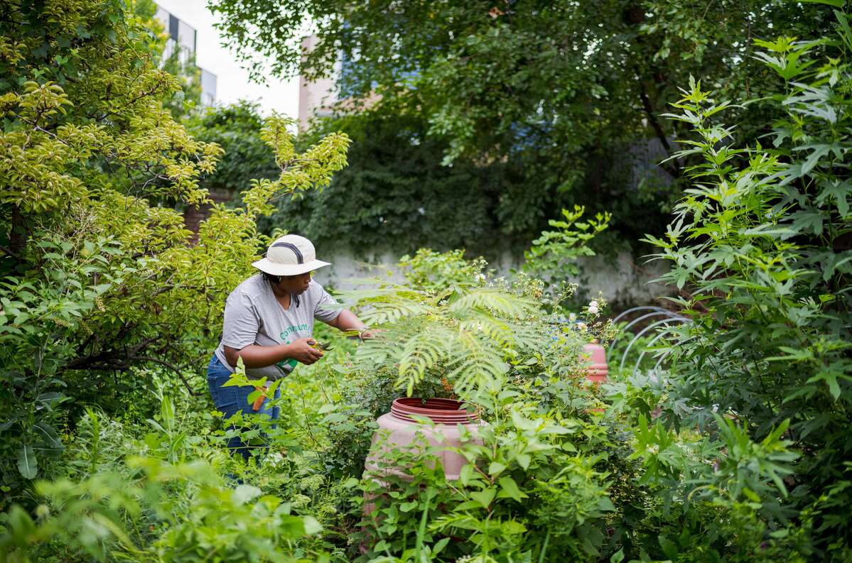 A person in a white bucket hat and gray T-shirt works in a flourishing green garden