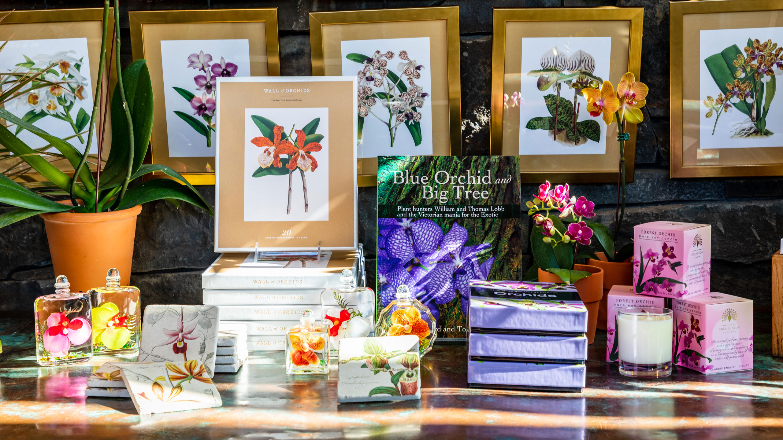 NYBG Shop display of orchid prints, candles, books and perfume