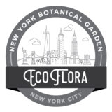 New York EcoFlora logo