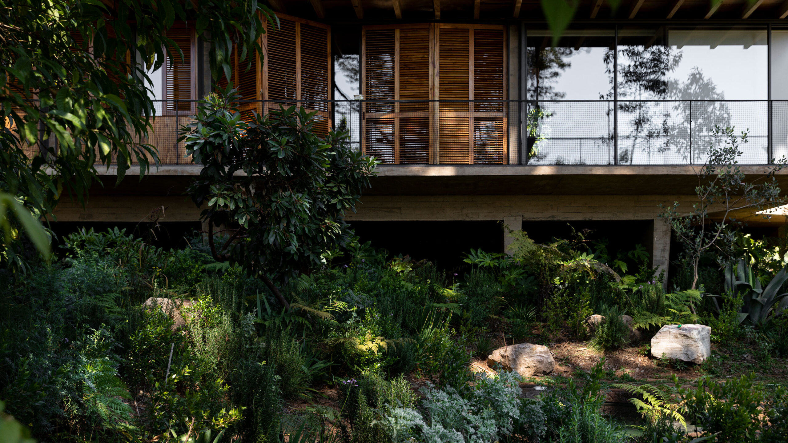 A building with big windows and lots of plants out front.