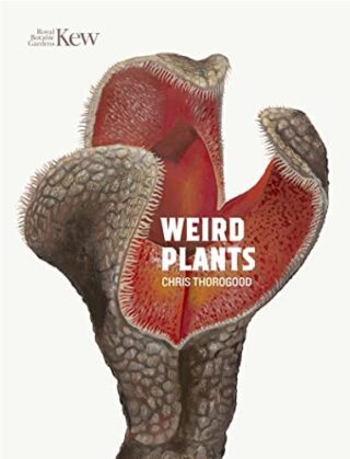 Image of a plant with three traps open that are featured in the publication Weird Plants by Chris Thorogood