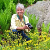 a person holding a camera in a yellow button down shirt, in front of a large rock and ferns
