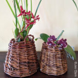 two hanging baskets with potted orchdis inside