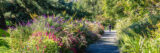 Pink, purple, green lush overgrown plants and flowers hang over a cement path with large green trees on the side while in the far distance a person is standing.