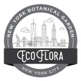 Logo of New York EcoFlora