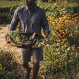 a person in a blue button down shirt and grey shorts carrying a basket of carrots and other vegetables in a field