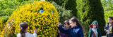 several children interacting with the small yellow flowers on a topiary worm
