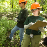 Two people in matching green shirts and orange hard hats perform research in a sunny forest