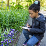 a child with a clipboard and pencil taking notes on the purple pansies in front of her