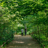 two people walking on a path in the Thain Family forest surrounded by lush green trees