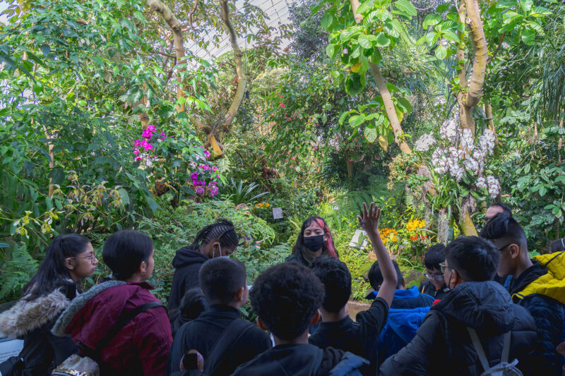 A group of school students ask questions as they take a tour through an indoor rain forest