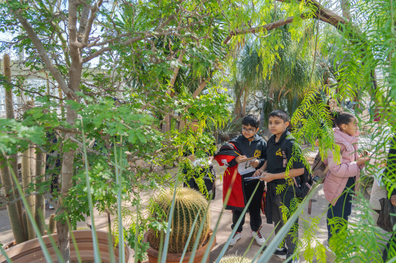 Children take notes as they explore desert plants inside a conservatory