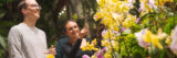 a man in a grey sweater holding a drink and a woman in a black long-sleeved top admiring yellow and purple orchids