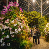 People enjoy an evening exploration of a vibrant tropical flower exhibition