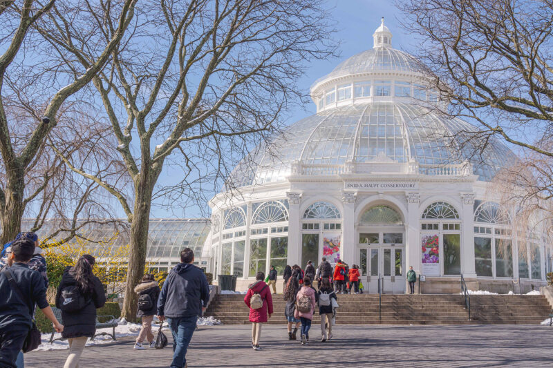 A group of schoolchildren walks toward a white and glass conservatory in winter