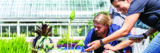 People examine aquatic plants outdoors on a sunny day