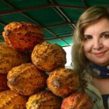 A person poses for a photo with a stack of cocoa pods