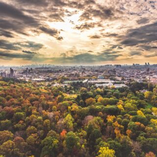 A view from NYBG looking south, with trees and buildings extending toward the horizon line and above, sun shining through clouds.