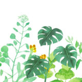 An illustration of bright green foliage and red flowers